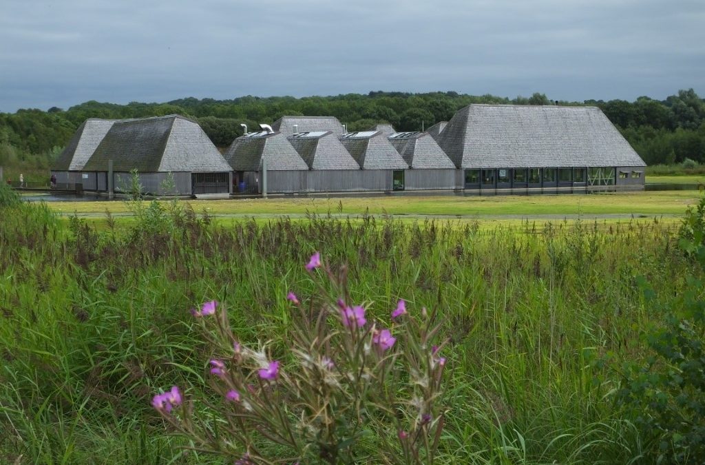 Brockholes Summer Outing